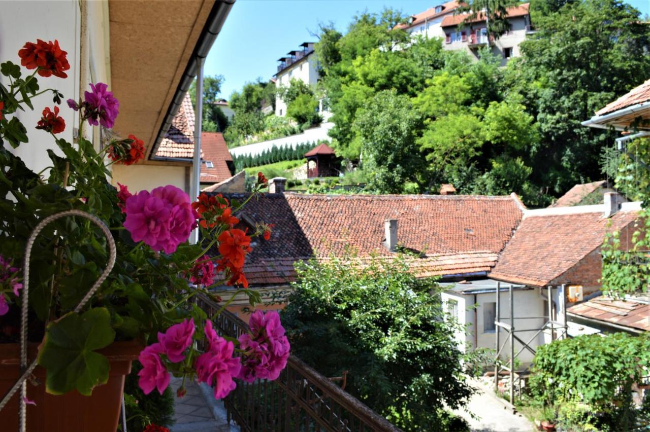 Eco Studio Brașov Exterior foto