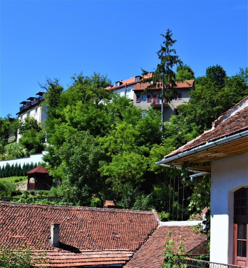 Eco Studio Brașov Exterior foto